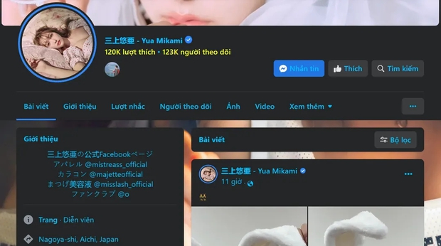 Vì sao nhiều fanpage tích xanh diễn viên phim người lớn Nhật Bản lại do người Việt quản lý? - Ảnh 2.