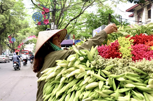 Hoa loa kèn đầu mùa giá rẻ bất ngờ - Ảnh 2.