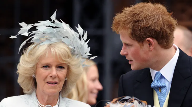 Vua Charles không còn nương tay với Harry khi anh công kích mẹ kế Camilla - Ảnh 1.