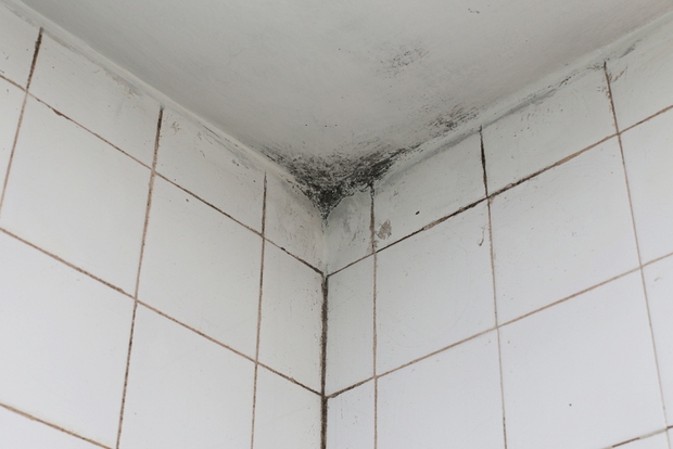 Mách bạn mẹo hay để loại bỏ nấm mốc trên trần nhà tắm - Ảnh 2.