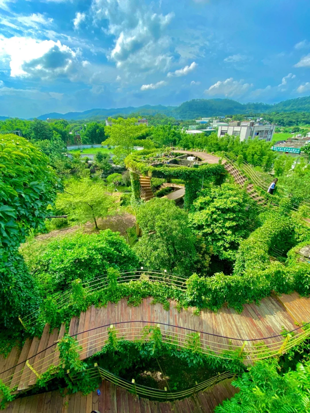 Đại gia Trung Quốc chi tiền khủng mua khu vườn rộng 30.000m2 để biến thành tác phẩm nghệ thuật: Mất nhiều năm mới mua xong đất, ròng rã 20 năm vẫn chưa hoàn thành - Ảnh 5.