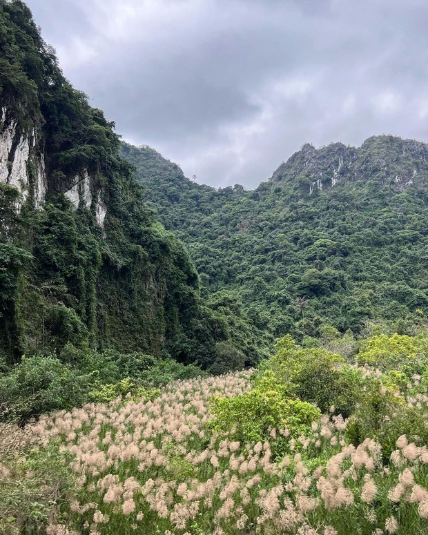 Dịp lễ này cả nhà cùng đến Việt Hải - làng chài lọt Top 16 thị trấn ven biển đẹp nhất thế giới, tại sao không? - Ảnh 7.