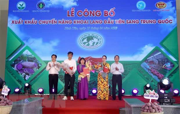 Được coi là thần dược chống lão hóa, một nông sản Việt Nam vừa xuất khẩu chính ngạch sang Trung Quốc, dần trở thành món khoái khẩu của người dân nước này - Ảnh 1.