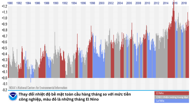 Thế giới sắp đón El Nino, biến 2023 thành năm nóng kỷ lục - Ảnh 4.