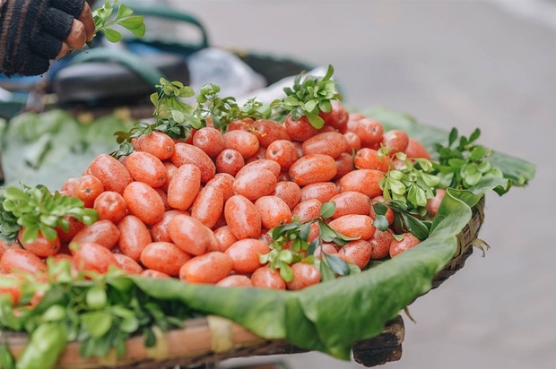 Loại quả mùa hè giàu vitamin C vừa giúp chị em dưỡng nhan, da tươi trẻ, căng tràn collagen lại chữa nhiều bệnh - Ảnh 5. Loại quả mùa hè giàu vitamin C vừa giúp chị em dưỡng nhan, da tươi trẻ, căng tràn collagen lại chữa nhiều bệnh - Ảnh 5.