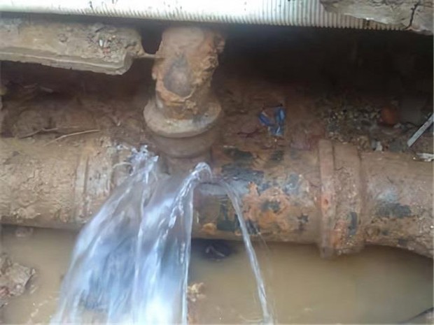 Dùng hơn 3700 khối nước một tháng, gia đình tá hỏa với hóa đơn gần 65 triệu đồng: Nguyên nhân do đâu? - Ảnh 1.
