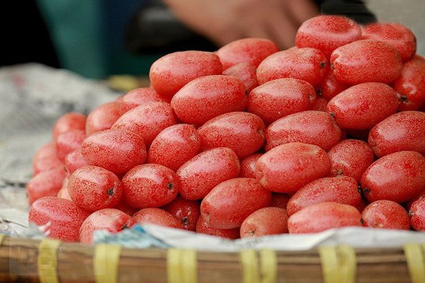 Loại quả mùa hè giàu vitamin C vừa giúp chị em dưỡng nhan, da tươi trẻ, căng tràn collagen lại chữa nhiều bệnh - Ảnh 2. Loại quả mùa hè giàu vitamin C vừa giúp chị em dưỡng nhan, da tươi trẻ, căng tràn collagen lại chữa nhiều bệnh - Ảnh 2.