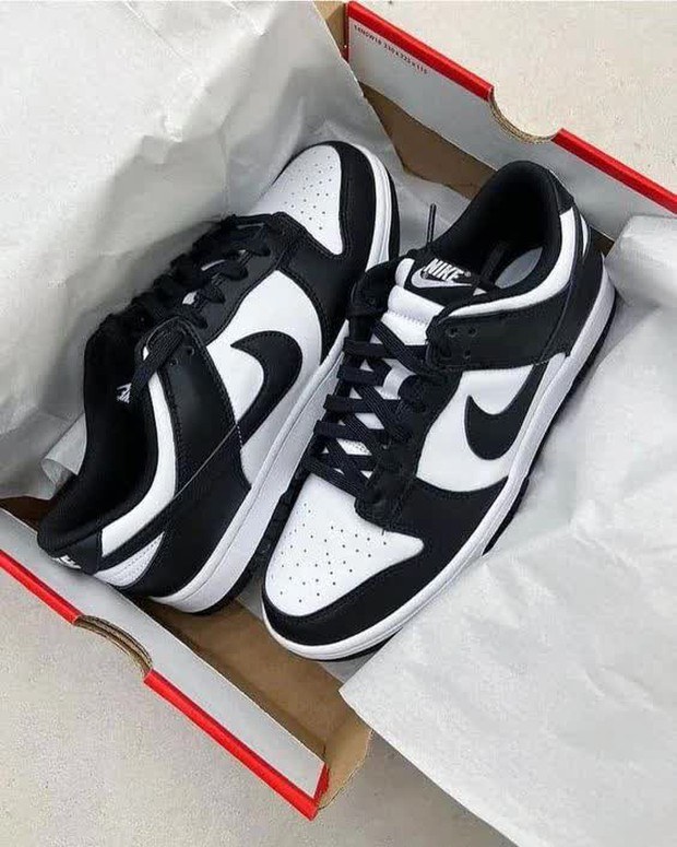 Nike Dunk Low Panda: Từng là mơ ước của hội nghiện giày cho đến khi ai cũng đi khiến họ chướng mắt? - Ảnh 9.