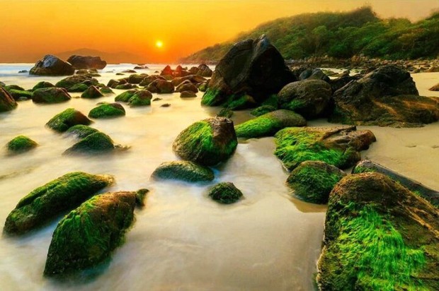 +9 bãi biển đẹp nhất Đà Nẵng, không nên bỏ qua dịp du lịch 30/4 - Ảnh 5.