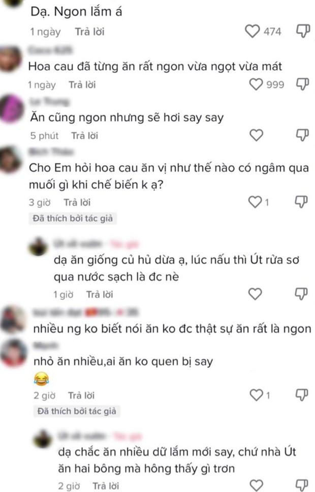 Trào lưu ăn uống khiến cây nhà lá vườn bỗng trở nên sốt xình xịch: Từ đọt đu đủ, quả mồng tơi đến cả hoa cau non cũng thành món ngon mới lạ - Ảnh 5.