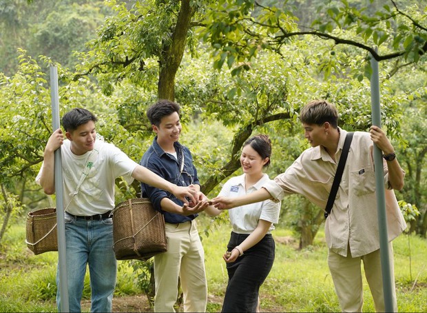 Mận Mộc Châu bắt đầu chín đỏ nhưng bạn đã chọn được vườn nào để hái hay chưa? - Ảnh 2.