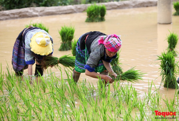 Bất ngờ trước vẻ đẹp Bát Xát mùa nước đổ - Ảnh 16.