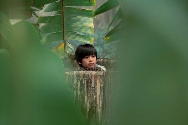 Sao nhí đóng bé An của Đất Rừng Phương Nam có gì đặc biệt mà gây sốt mạng xã hội? - Ảnh 2.