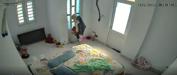Thấy camera phòng ngủ cảnh báo có đột nhập, cô gái mở lên kiểm tra thì kinh hồn bạt vía bởi một hình ảnh - Ảnh 3.