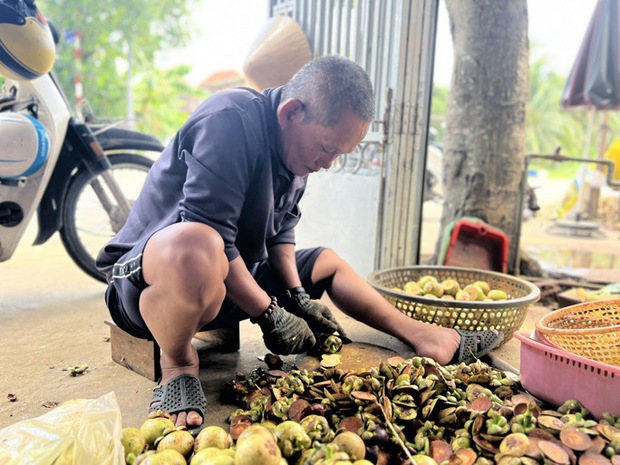 Nhiều người ở Bình Dương trúng đậm nhờ măng cụt gây sốt mạng xã hội - Ảnh 8.