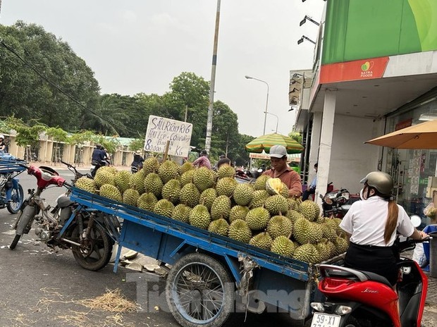 Sầu riêng hàng dạt giá rẻ đổ bộ vỉa hè TPHCM - Ảnh 4.