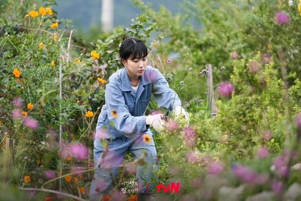Nàng Nắng Xuân Ha Yoon Kyung tỏa sáng trong phim đóng cùng Shin Hye Sun - Ảnh 3. Nàng Nắng Xuân Ha Yoon Kyung tỏa sáng trong phim đóng cùng Shin Hye Sun - Ảnh 3.