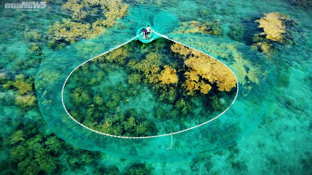Ngất ngây cánh đồng vàng dưới biển xanh trong ở đảo Hòn Khô, Bình Định - Ảnh 7.