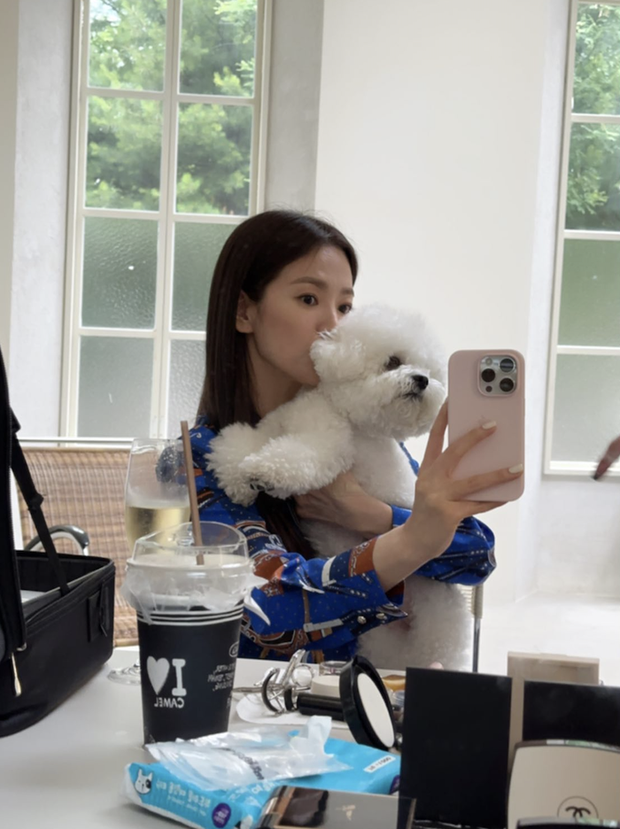 Song Hye Kyo khoe khoảnh khắc nhí nhảnh bên cún cưng - Ảnh 3.