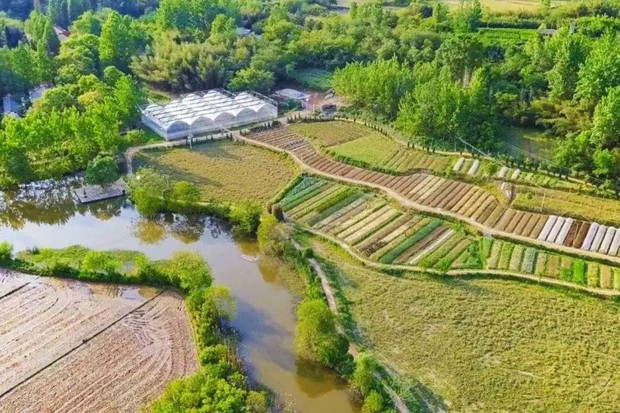 Kiếm đủ tiền, cựu giám đốc công nghệ của Tencent từ chức về quê mua 133.000m2 đất làm trang trại sống ẩn dật, mất 3 năm mới xây dựng thành công - Ảnh 3.
