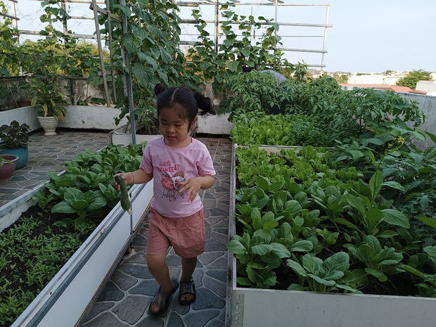 Khu vườn sân thượng 70m2 trĩu nặng rau quả từ căn nhà phố ở Bình Thuận - Ảnh 7.