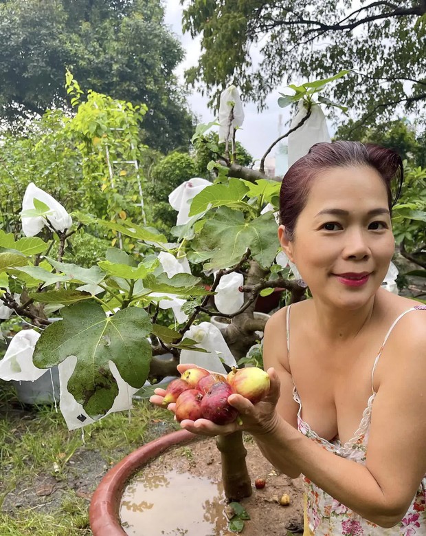 Ca sĩ Mỹ Lệ: Sở hữu biệt thự, nhà vườn rộng hàng nghìn m2, trồng toàn cây độc lạ, chuẩn đại gia showbiz - Ảnh 6.