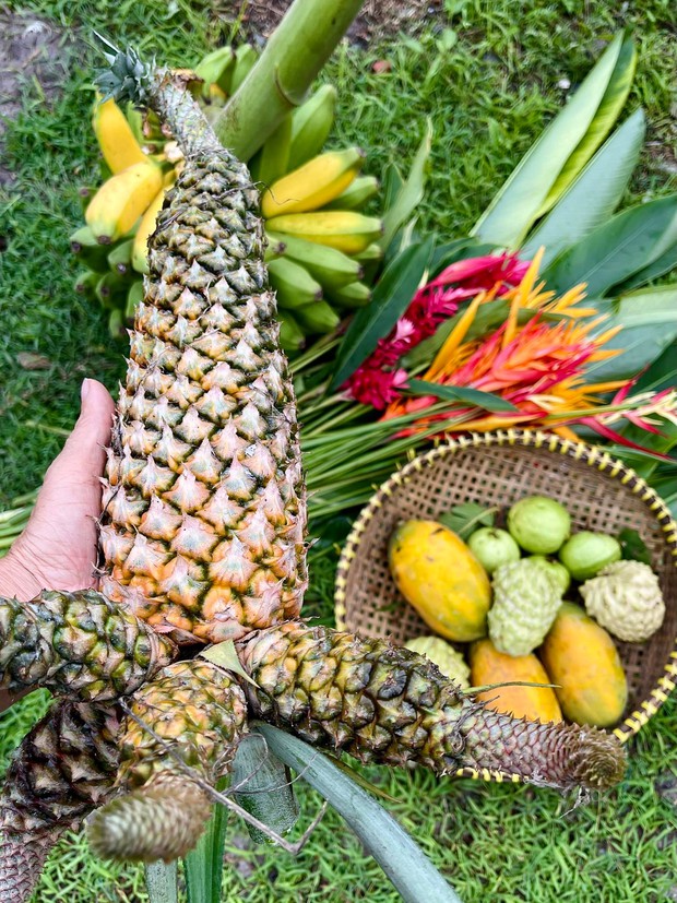Ca sĩ Mỹ Lệ: Sở hữu biệt thự, nhà vườn rộng hàng nghìn m2, trồng toàn cây độc lạ, chuẩn đại gia showbiz - Ảnh 5.