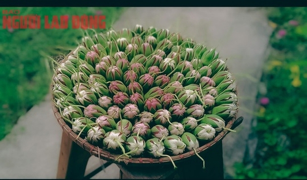 Gỏi bông bần đổi vị ngày hè - Ảnh 2. Gỏi bông bần đổi vị ngày hè - Ảnh 2.