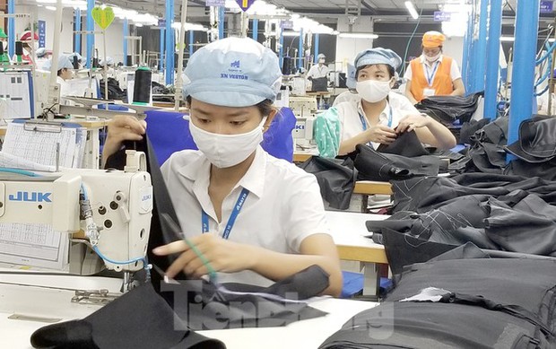 Kiến nghị cho nghỉ hưu khi nam 60 tuổi, nữ 55 tuổi - Ảnh 1. Kiến nghị cho nghỉ hưu khi nam 60 tuổi, nữ 55 tuổi - Ảnh 1.