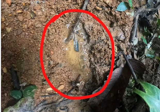 Những vật dụng đáng kinh ngạc được tìm thấy khi 4 đứa trẻ mất tích ở rừng Amazon - Ảnh 3.