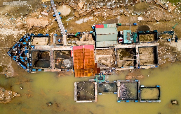 Sông Đà khô cạn, cảnh tượng đáng sợ của động vật và thiên nhiên