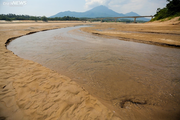 Sông Đà khô cạn, cảnh tượng đáng sợ của động vật và thiên nhiên