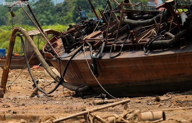 Sông Đà khô cạn, cảnh tượng đáng sợ của động vật và thiên nhiên