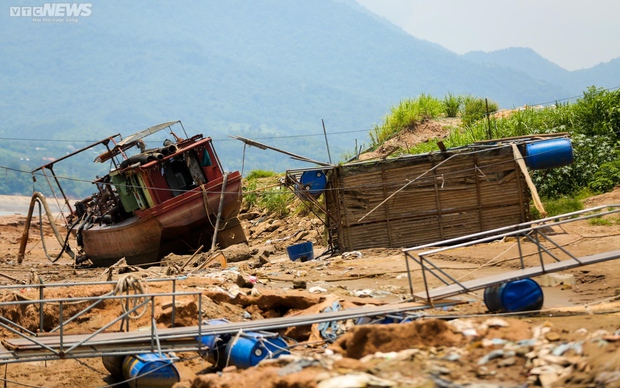 Sông Đà khô cạn, cảnh tượng đáng sợ của động vật và thiên nhiên