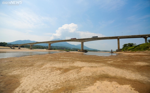 Sông Đà khô cạn, cảnh tượng đáng sợ của động vật và thiên nhiên