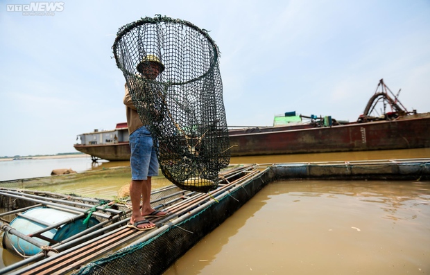 Sông Đà khô cạn, cảnh tượng đáng sợ của động vật và thiên nhiên