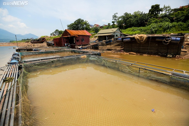 Sông Đà khô cạn, cảnh tượng đáng sợ của động vật và thiên nhiên