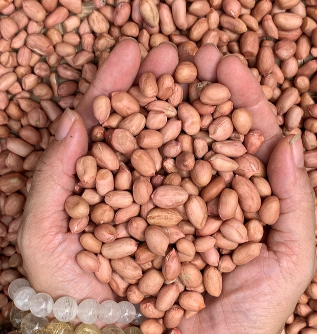 Những lợi ích bất ngờ khi ăn hạt rẻ bèo vào buổi sáng