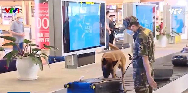 Bị bắt giữ vận chuyển ma túy qua đường hàng không, đang làm đỏ đến cảnh báo