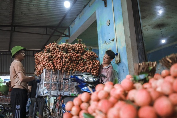 Chùm ảnh: Người dân Bắc Giang trắng đêm soi đèn thu hoạch vải thiều, nô nức chở đi bán từ tờ mờ sáng - Ảnh 17.