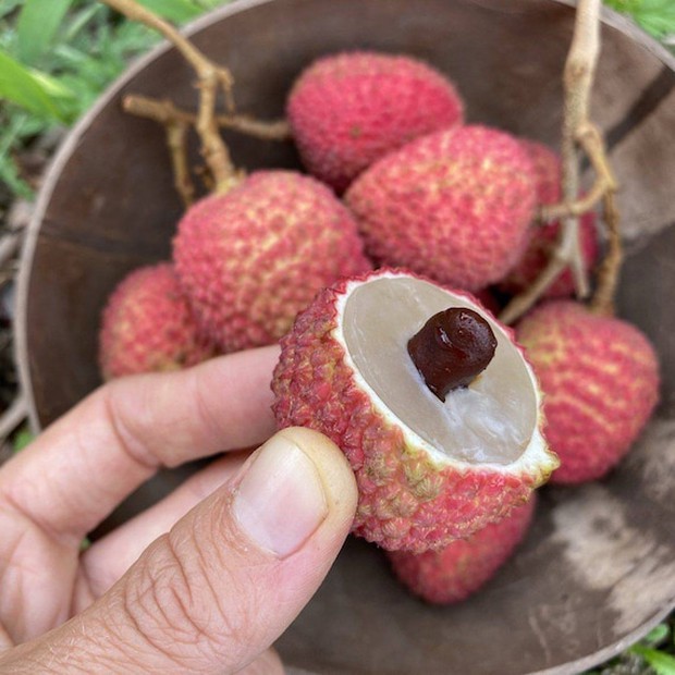 Hạt bỏ đi nhưng lại có tác dụng vô cùng tốt cho sức khỏe