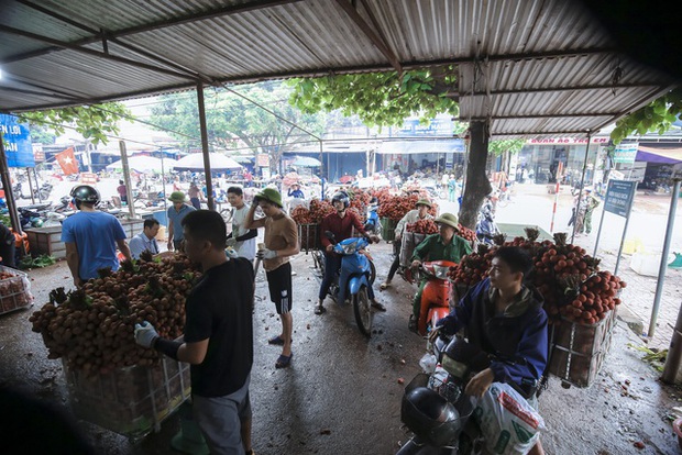 Chùm ảnh: Người dân Bắc Giang trắng đêm soi đèn thu hoạch vải thiều, nô nức chở đi bán từ tờ mờ sáng - Ảnh 16.