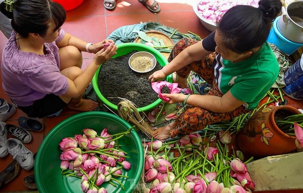 Cận cảnh quy trình ướp trà sen đệ nhất trà Hà thành, giá cả chục triệu đồng/kg - Ảnh 8.