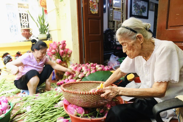 Cận cảnh quy trình ướp trà sen đệ nhất trà Hà thành, giá cả chục triệu đồng/kg - Ảnh 4.