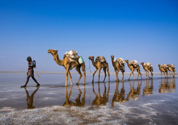 Suối địa nhiệt Dallol: Kỳ quan độc đáo có một không hai trên Trái đất, đẹp nhưng nguy hiểm - Ảnh 3.