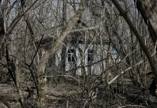 Ảnh hiếm tại vùng thảm họa hạt nhân Chernobyl sau gần 40 năm bị bỏ hoang - Ảnh 2.