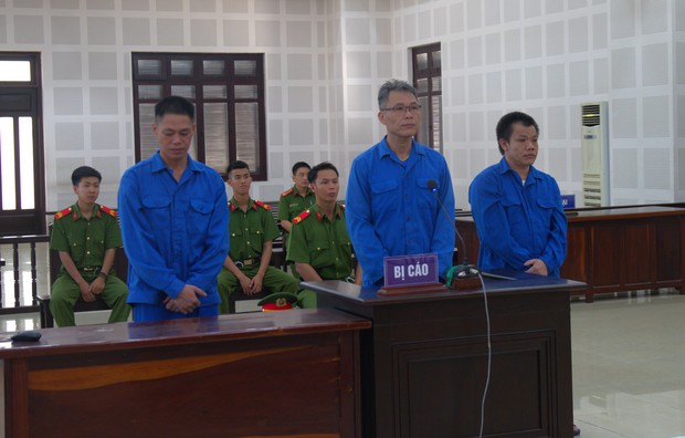 Chó Pitbull tấn công hàng xóm sau khi bị bạo hành: Sự trừng phạt đối với cả chủ và nạn nhân