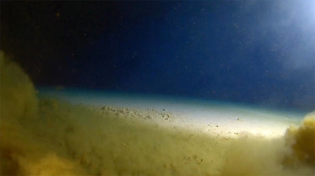 Những sự thật đáng kinh ngạc về vực thẳm Challenger, nơi sâu nhất trên Trái đất - Ảnh 1.