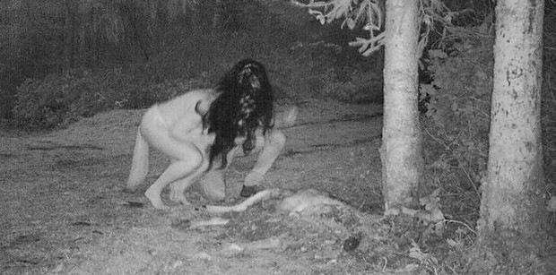 Thấy xác hươu ở trong vườn, người phụ nữ đặt camera và chứng kiến cảnh tượng đáng sợ - Ảnh 3.