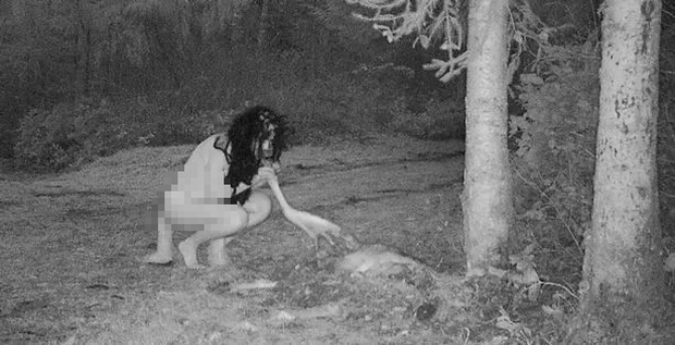 Thấy xác hươu ở trong vườn, người phụ nữ đặt camera và chứng kiến cảnh tượng đáng sợ - Ảnh 2.